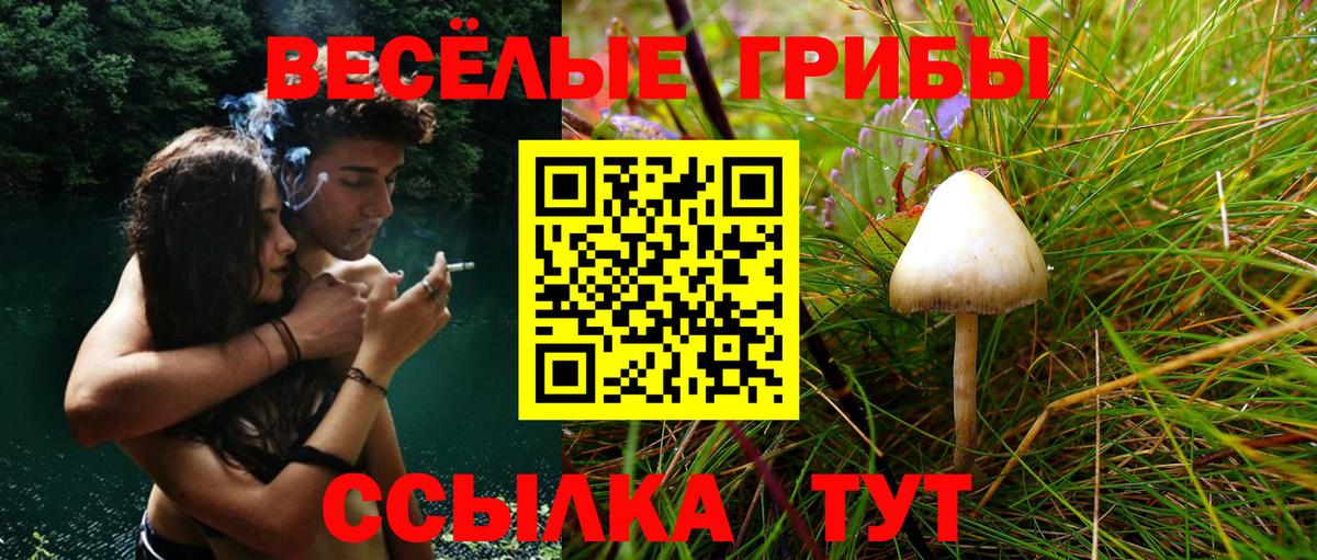 Псилоцибиновые грибы MAGIC MUSHROOMS Красноперекопск