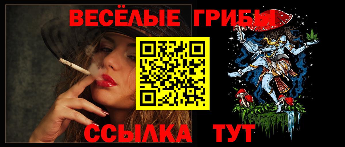 Красноперекопск  Галлюциногенные грибы Cubensis  Вход с VPN 